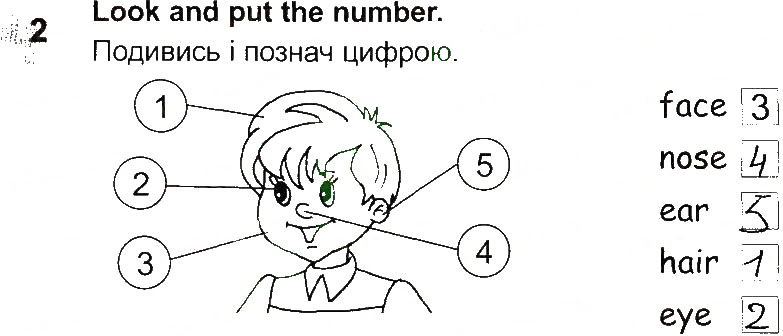 Завдання № 2 - Lesson 3 - ГДЗ Англійська мова 2 клас О.Д. Карп’юк 2013 - Робочий зошит