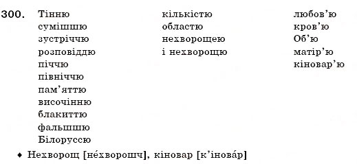 Завдання № 300 - § 19. Поділ іменників на відміни. Відмінювання іменників - ГДЗ Українська мова 6 клас О.П. Глазова, Ю.Б. Кузнецов 2006