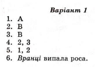 Завдання № СР3 - Самостійні роботи - ГДЗ Українська мова 8 клас А.С. Марченко, Ю.В. Пастухова, В.В. Уліщенко 2010 - Тест-контроль