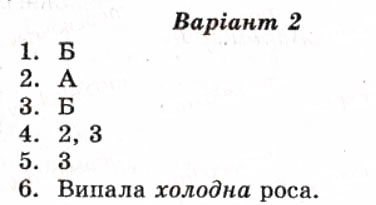 Завдання № СР3 - Самостійні роботи - ГДЗ Українська мова 8 клас А.С. Марченко, Ю.В. Пастухова, В.В. Уліщенко 2010 - Тест-контроль