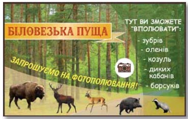 Завдання №  стор.11 (8-9) - Повторюю знання про звуки і букви - ГДЗ Українська мова 4 клас К. І. Пономарьова, Л. А. Гайова 2021 - Частина 1