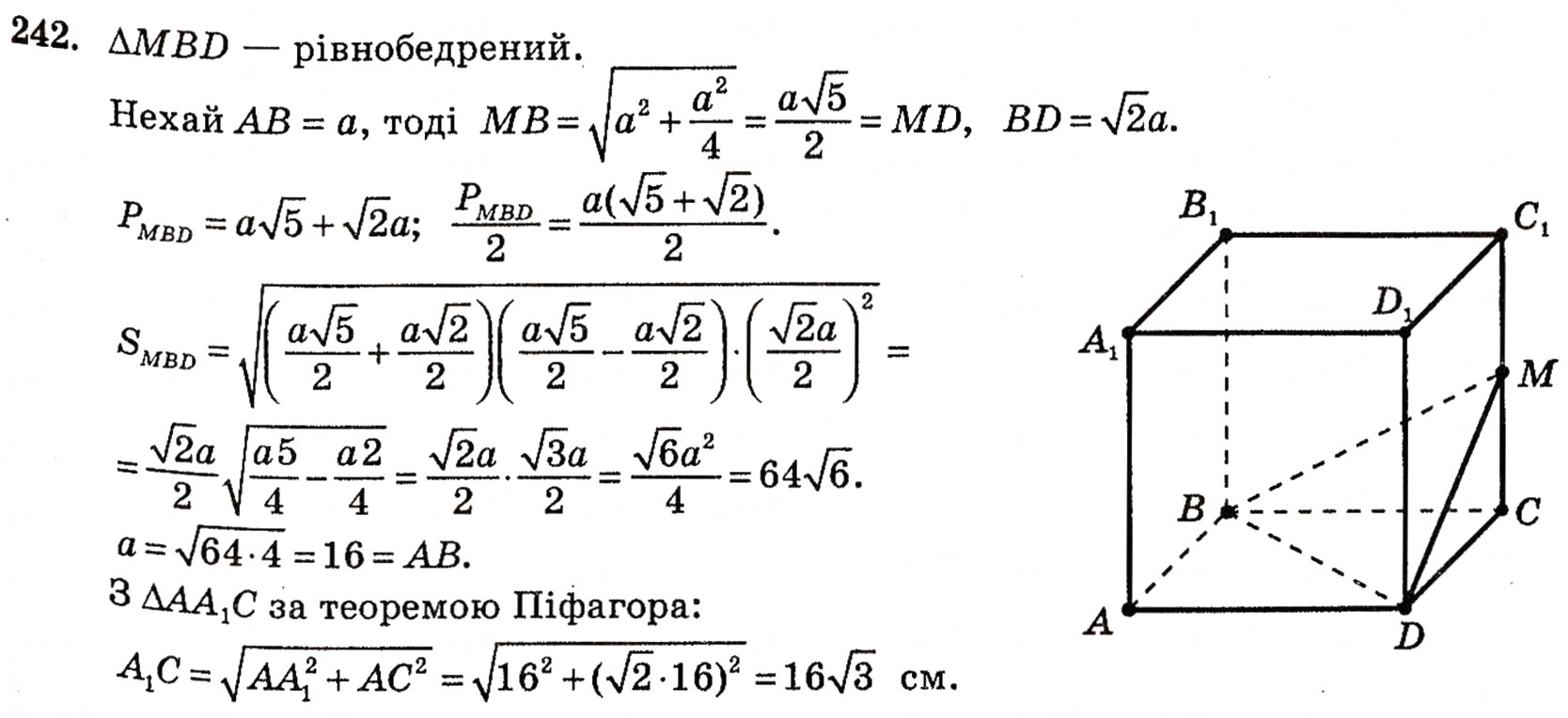 Завдання № 242 - § 6. Мимобіжні і паралельні прямі - ГДЗ Геометрія 10 клас Г.П. Бевз, В.Г. Бевз, Н.Г. Владимирова 2010 - Профільний рівень