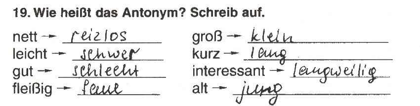 Завдання № 19 - MODUL 3. DIE SCHULE - ГДЗ Німецька мова 5 клас М.М. Сидоренко, О.А. Палій 2013 - Робочий зошит