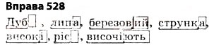 Завдання № 528 - § 38. Основа слова (корінь, суфікс, префікс) і закінчення значущі частини слова. Спільнокореневі слова й форми слова - ГДЗ Українська мова 5 клас О.П. Глазова 2013
