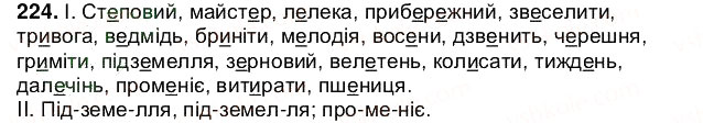 Завдання № 224 - § 28. Вимова голосних. Позначення на письмі ненаголошених [е], [и] в коренях слів - ГДЗ Українська мова 5 клас О.В. Заболотний 2013