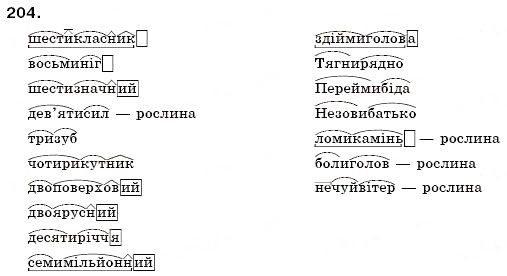 Завдання № 204 - § 13. Складні слова - ГДЗ Українська мова 6 клас О.П. Глазова, Ю.Б. Кузнецов 2006