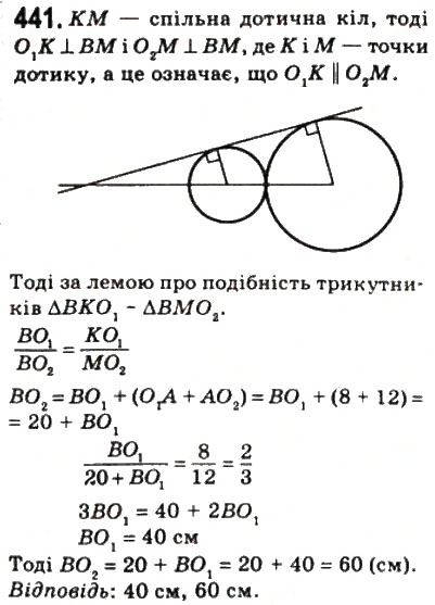 Завдання № 441 - 12. Подібні трикутники - ГДЗ Геометрія 8 клас А.Г. Мерзляк, В.Б. Полонський, М.С. Якір 2008