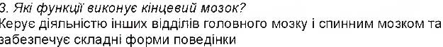 Завдання № 3 - 34. Головний мозок - ГДЗ Біологія 8 клас К.М. Задорожний 2016