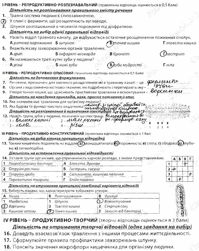 Завдання № В1 - ТЕМА 2 - ГДЗ Біологія 8 клас В.І. Соболь 2016 - Збірник завдань